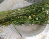 Foto del paso 1 de la receta: Jugo Cura Todo a lo Carmelita #RECETASCONFRUTA