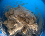 Foto del paso 2 de la receta: Pan amasado 🍞