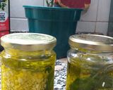 Foto del paso 4 de la receta: Ajos en aceite y albahaca