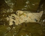 Foto langkah ke 5 dari resep Pepes tahu jamur.