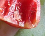 A picture of step 3 of Penne Arrabiata.