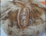 Foto del paso 9 de la receta: Pan de pueblo con harina de trigo