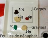 Une image de l'étape 5 de Kanten Wagashi 