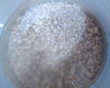 Foto del paso 1 de la receta: Tabulé de bulgur de vegetales con menta y yogur agrio