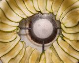 Foto del paso 4 de la receta: Budín de zucchini