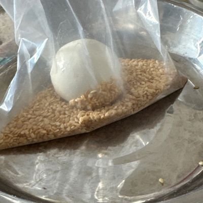 Langkah 8
