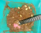 Foto del paso 1 de la receta: Turrones de chocolate dos versiones económicos y ricos !