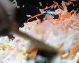 சிக்கன் ப்ரைடு நூடுல்ஸ் ரெசிபி ஸ்டேப் 5 புகைப்படம்