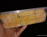 Foto langkah ke 7 dari resep 2. Nugget pisang kepok endol.