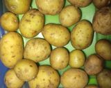 Foto langkah ke 1 dari resep Crispy Smashed Potatoes.