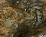 A picture of step 4 of New recipe saag ka pratha.