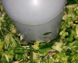 A picture of step 2 of Green Masala Chicken Meatballs or Kofta.