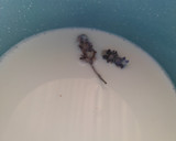 Foto del paso 2 de la receta: 🌸Bubble te de lavanda 🧋🌸