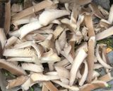 Foto del paso 5 de la receta: Setas con espárragos trigueros