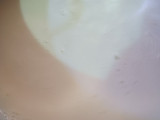 Fruit (Custard)