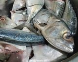Foto langkah ke 1 dari resep Ikan Kembung Bakar.