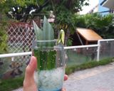 Hình bước làm 5 của món Nước nha đam hạt chia đường phèn
