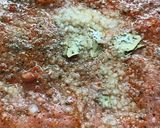 Foto del paso 3 de la receta: Salsa de chorizo