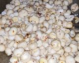 मखाना ड्राई फ्रूटस की खीर (Makhana Dry Fruits Kheer Recipe in Hindi) रेसिपी चरण 1 फोटो