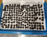 Foto del paso 4 de la receta Tarta de queso y arándanos frescos sin horno