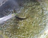 A picture of step 5 of Palak paneer.