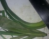 Foto del paso 5 de la receta: Bondiola al horno con papas y más