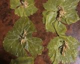 A picture of step 4 of Stuffed Grape Leaves (Mahshi Warak Enab).