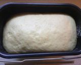 Foto del paso 6 de la receta Panettone clásico
