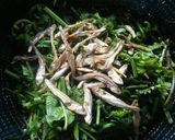 Foto langkah ke 1 dari resep Tumis pakis ikan teri.