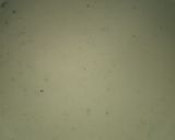 Foto langkah ke 2 dari resep Peyek bayam.
