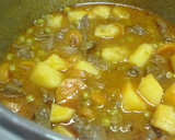 Foto del paso 2 de la receta: Ternera estofada a la Jardinera