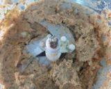 A picture of step 2 of Gola kabab.