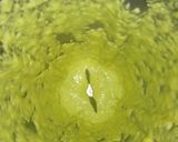 Foto langkah ke 1 dari resep Bolu Pandan DEBM no mixer no oven. Gluten free 👍.