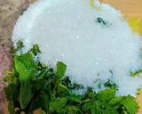 ताज़ा कैरी पन्ना रेसिपी चरण 4 फोटो
