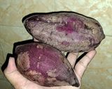 Foto langkah ke 1 dari resep Goguma Pia Choco Cheese Endess.s.s.