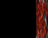 A picture of step 5 of Carrot Muraba.