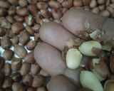 मूंगफली की चिक्की (Moongfali Ki chikki recipe in Hindi) रेसिपी चरण 2 फोटो