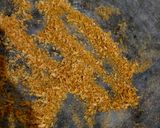Foto langkah ke 4 dari resep Pempek Klepon.