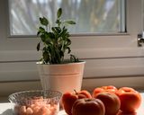 Foto del paso 1 de la receta: Fideos con salsa de camarones