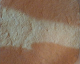 Foto del paso 4 de la receta: Pizza de todo un poco