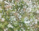 A picture of step 5 of Spinach Cheese Garlic Babak.