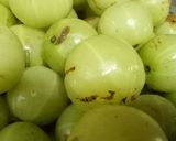 મીઠા આમળા નો મુખવાસ(Sweet amla recipe in Gujarati) રેસીપી સ્ટેપ1ફોટો