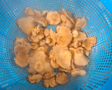 Foto del paso 2 de la receta: Setas "lengua de vaca" (Hydnum Repandum) "á feira"