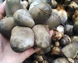 Foto langkah ke 1 dari resep Tumis Pedas Jamur Sawit & Jengkol.