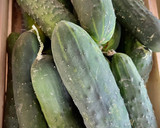 Foto del paso 1 de la receta: Vasitos de gazpacho de pepino