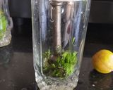 A picture of step 1 of Lemon Mojito.