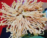 Foto langkah ke 5 dari resep Jamur enoki krispi.
