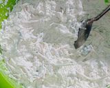 Foto langkah ke 4 dari resep 11. Bakwan Sayur.