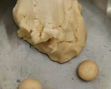 A picture of step 1 of Mawa gulab jamun.