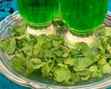 A picture of step 1 of Quice Lemonade Mint Sprig Drink #Cookpadapp #Drink_Competition.